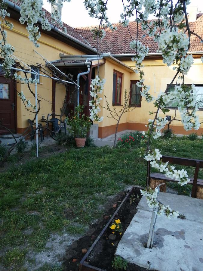 Villa Hársfák Mezokovacshaza Esterno foto
