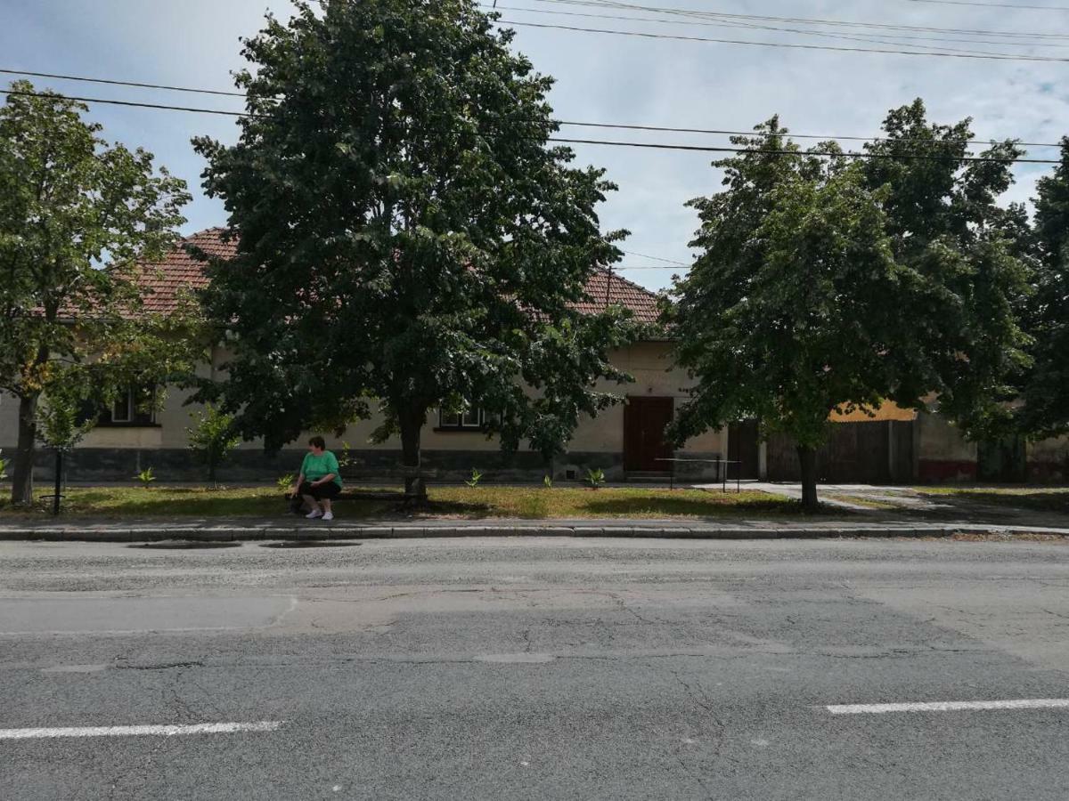 Villa Hársfák Mezokovacshaza Esterno foto