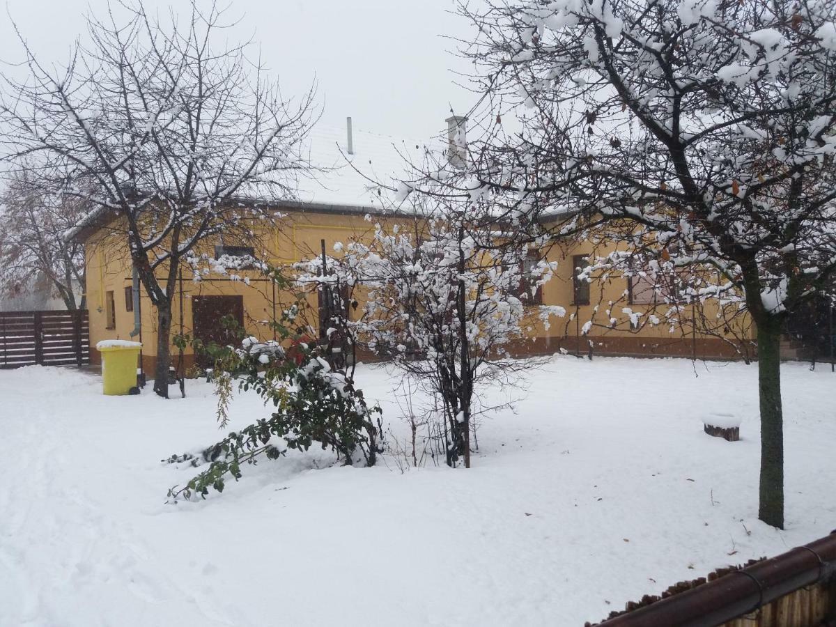 Villa Hársfák Mezokovacshaza Esterno foto