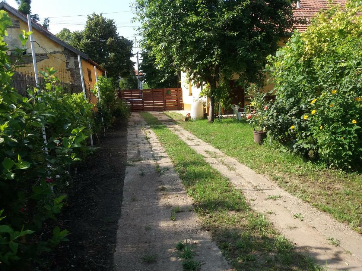 Villa Hársfák Mezokovacshaza Esterno foto